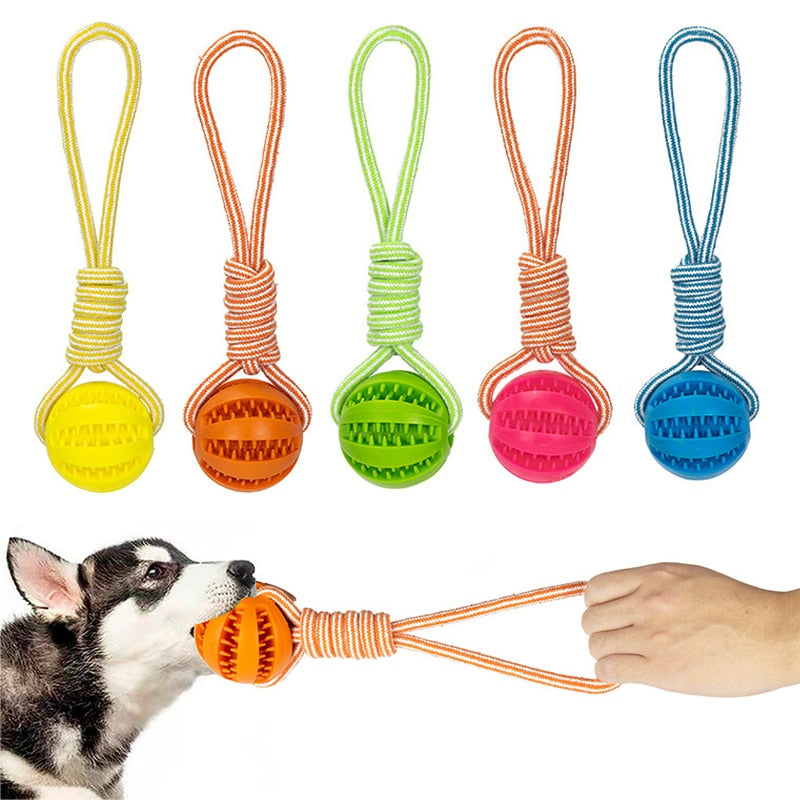 Dog Interactive Rope Balls Toys