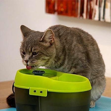 Automatic Cat Water Dispenser with dental care